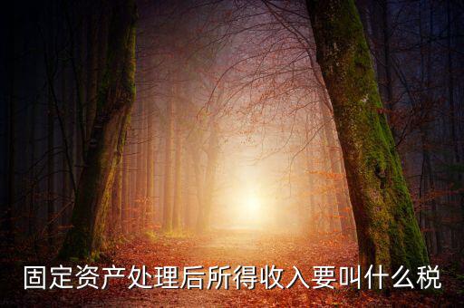 什么叫做試點納稅人，固定資產(chǎn)處理后所得收入要叫什么稅