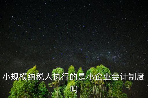 小規(guī)模納稅人什么制度，我國增值稅法對小規(guī)模納稅人實行什么法