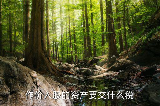 入股金繳納什么稅，作價(jià)入股的資產(chǎn)要交什么稅