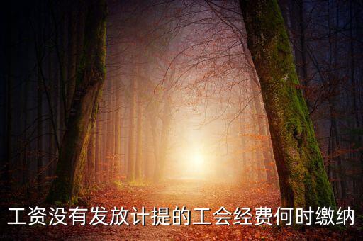工會經(jīng)費一般什么時候交，工資沒有發(fā)放計提的工會經(jīng)費何時繳納