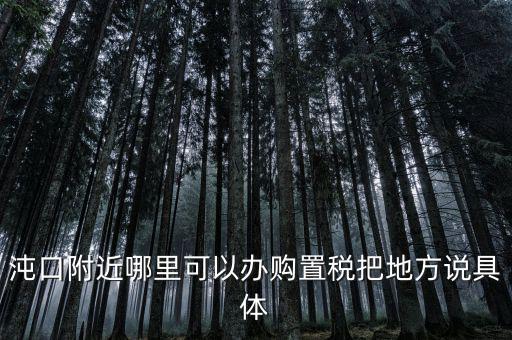 漢陽(yáng)稅務(wù)局什么車，沌口附近哪里可以辦購(gòu)置稅把地方說具體