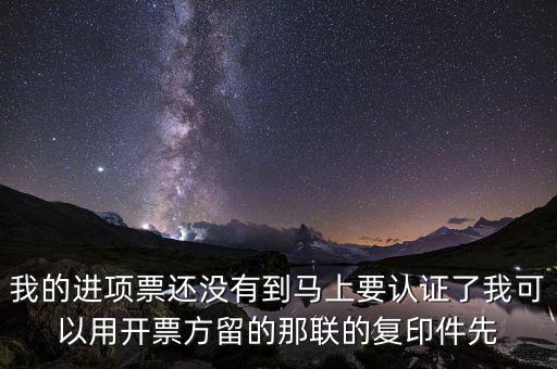 納稅清單驗(yàn)證碼是什么，我的進(jìn)項(xiàng)票還沒(méi)有到馬上要認(rèn)證了我可以用開票方留的那聯(lián)的復(fù)印件先