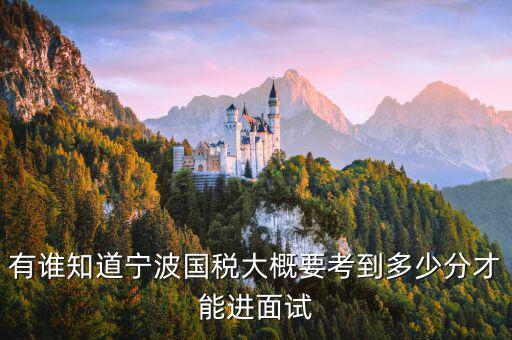 國稅 要求什么素質(zhì)，國稅公務(wù)員面試