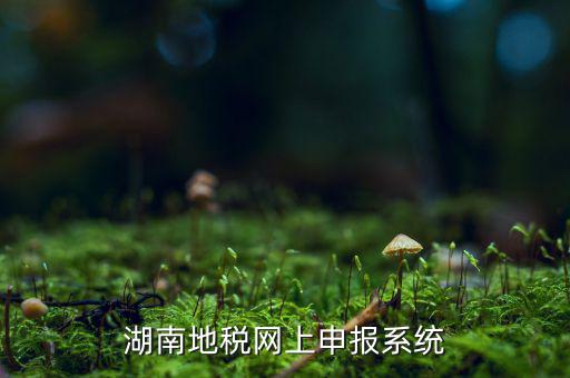 湖南省的地稅報稅軟件是什么，湖南地稅網(wǎng)上申報系統(tǒng)