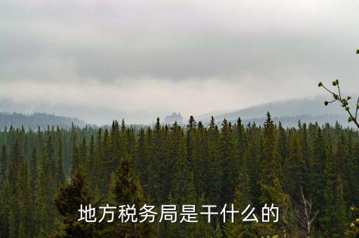 地稅局涉外稅收做什么，陜西發(fā)票涉外地稅是什么意思