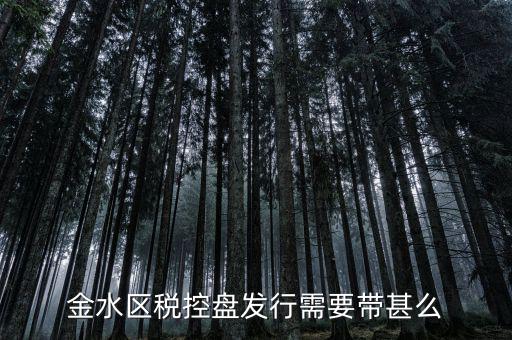稅盤發(fā)行要帶什么資料，去國稅局辦發(fā)行需要什么資料