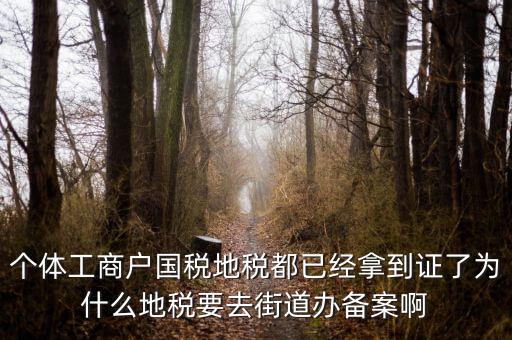 為什么要到國(guó)稅地稅備案，個(gè)體工商戶國(guó)稅地稅都已經(jīng)拿到證了為什么地稅要去街道辦備案啊