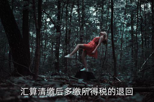 匯算清繳多繳稅款什么時候退，企業(yè)所得稅匯算清繳退款什么時候到賬