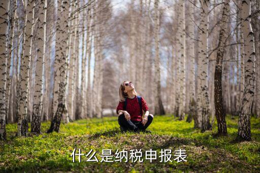 稅務通用申報表是什么意思，通用稅納稅申報表