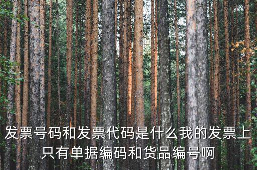 發(fā)票代碼和發(fā)票號(hào)碼是什么，發(fā)票代碼和發(fā)票號(hào)碼有什么用
