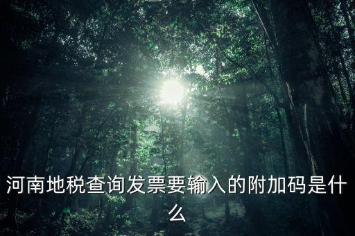 河南發(fā)票密碼是什么樣的，河南地稅查詢發(fā)票要輸入的附加碼是什么