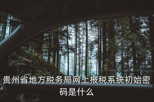 黑龍江電子稅務(wù)是什么，貴州省地方稅務(wù)局網(wǎng)上報(bào)稅系統(tǒng)初始密碼是什么