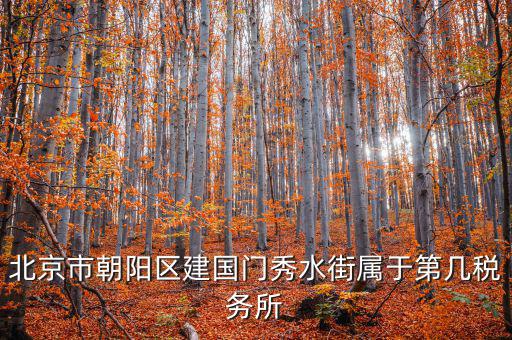 北京市朝陽區(qū)建國(guó)門秀水街屬于第幾稅務(wù)所