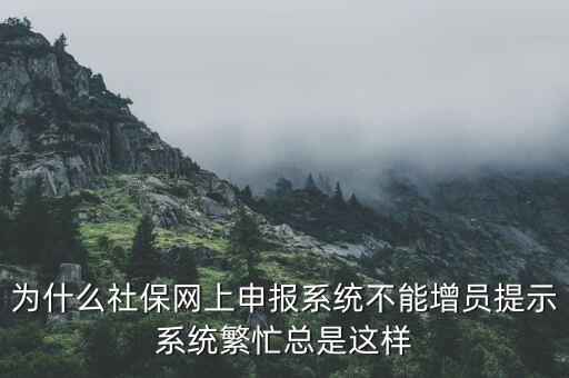 為什么社保申報后不通過，2015年9月21號網(wǎng)上申報社保進不去怎么回事