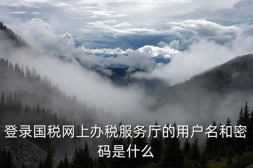 電子稅務局登陸用戶名是什么，登錄國稅網上辦稅服務廳的用戶名和密碼是什么