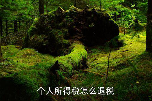 為什么要涉稅專業(yè)服務(wù)，80年以前有稅務(wù)局嗎