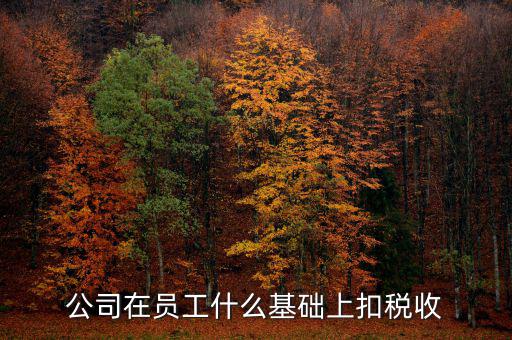 什么是稅收基礎(chǔ)工作，問個問題稅務(wù)基本建設(shè) 是個什么崗位