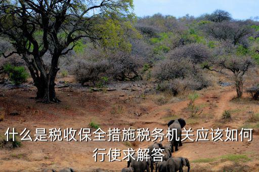稅務(wù)局四個(gè)確保是什么，如何加強(qiáng)稅務(wù)稽查工作的幾點(diǎn)思考