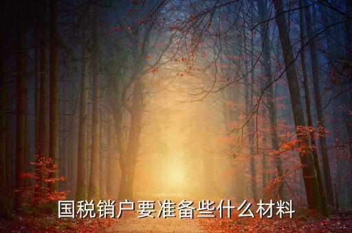 去國稅銷戶需要帶什么資料，國稅注銷需要哪些材料