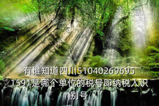 四川國(guó)稅廳帳號(hào)是什么，有誰(shuí)知道四川510402696951591是哪個(gè)單位的稅號(hào)即納稅人識(shí)別號(hào)