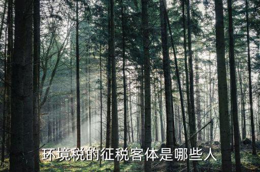 環(huán)保稅納稅人的什么意思，環(huán)境稅是什么意思
