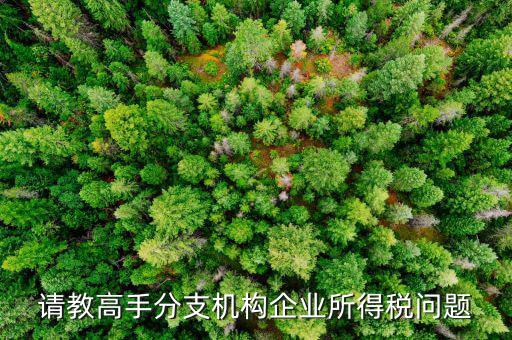 企業(yè)所得稅分管單位是什么意思，企業(yè)所得稅主管稅務(wù)局指的是什么