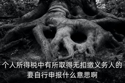 什么叫自行申報，個人所得稅中有所取得無扣繳義務(wù)人的要自行申報什么意思啊