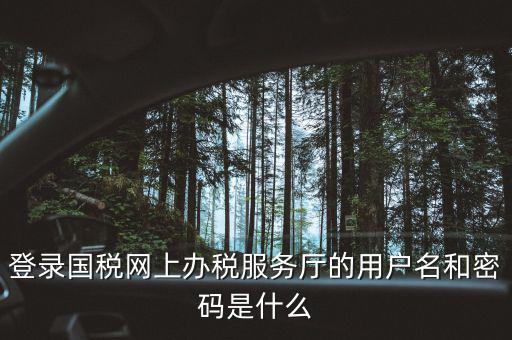 登錄國稅網上辦稅服務廳的用戶名和密碼是什么
