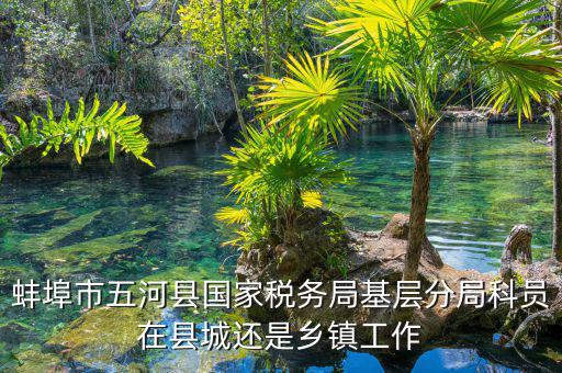懷遠(yuǎn)稅務(wù)局在什么地方，蚌埠市五河縣國(guó)家稅務(wù)局基層分局科員在縣城還是鄉(xiāng)鎮(zhèn)工作