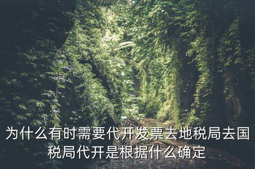 為什么有時需要代開發(fā)票去地稅局去國稅局代開是根據什么確定