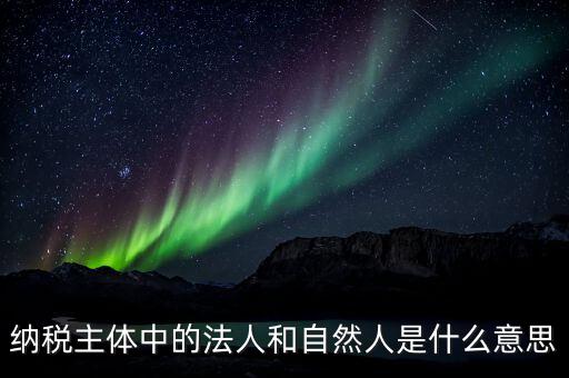 稅務局自然人綁定是什么意思，納稅主體中的法人和自然人是什么意思