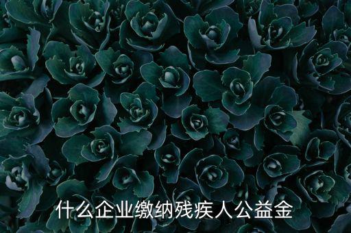 什么企業(yè)需申報(bào)殘疾人保障金，哪些單位應(yīng)該繳納殘疾人保障基金
