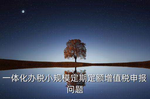 非定期定額戶申報是什么意思，一體化辦稅小規(guī)模定期定額增值稅申報問題