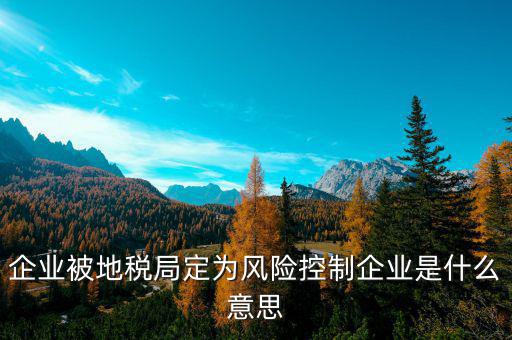 地稅房地產(chǎn)風控是什么意思，風控是什么意思