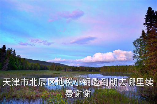 天津地稅小鑰匙密碼是什么，天津市北辰區(qū)地稅小鑰匙到期去哪里續(xù)費(fèi)謝謝