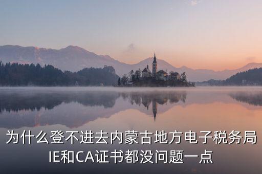 為什么電子稅務(wù)局登錄不了，山西省電子稅務(wù)局在電腦上登陸不上為啥呢
