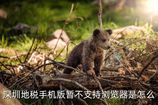 深圳國(guó)稅網(wǎng)站用什么瀏覽器打開(kāi)，國(guó)稅網(wǎng)為什么看不到增值稅申報(bào)表平時(shí)一打開(kāi)這個(gè)頁(yè)面就可以點(diǎn)擊看