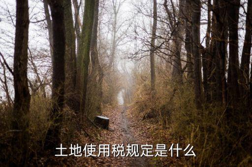 大宗商品土地使用稅指什么，土地使用稅