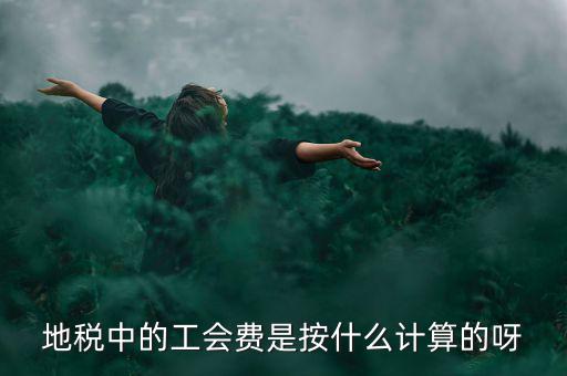 地稅代征的工會(huì)經(jīng)費(fèi)按什么計(jì)算，地稅中的工會(huì)費(fèi)是按什么計(jì)算的呀