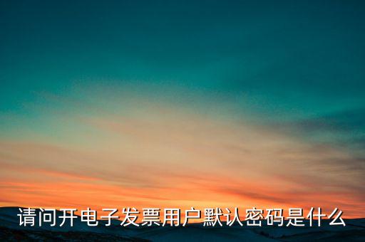 重慶國(guó)稅電子發(fā)票登錄密碼是什么意思，國(guó)稅局發(fā)票軟件里用戶代碼和密碼是什么