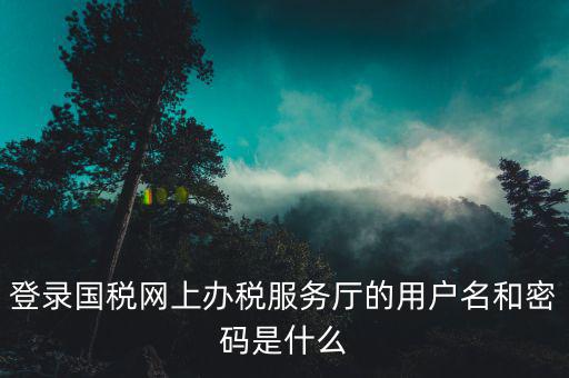 稅務(wù)查詢(xún)賬號(hào)密碼是什么意思，登錄國(guó)稅網(wǎng)上辦稅服務(wù)廳的用戶(hù)名和密碼是什么