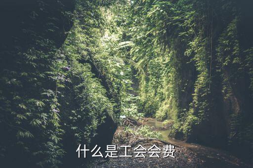 什么企業(yè)交工會經(jīng)費(fèi)，繳工會經(jīng)費(fèi)的依據(jù)是什么