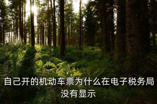 為什么登錄電子稅務(wù)局沒有反映，自己開的機(jī)動(dòng)車票為什么在電子稅務(wù)局沒有顯示