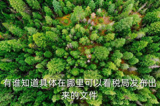 在什么網(wǎng)站上可以查詢財(cái)稅文件，有誰(shuí)知道具體在哪里可以看稅局發(fā)布出來(lái)的文件