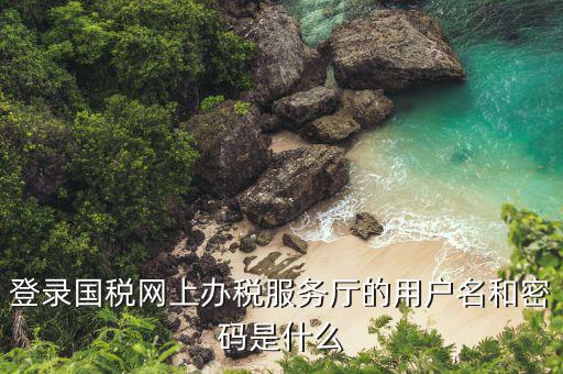 河北省地稅登陸的用戶名是什么，登錄國稅網(wǎng)上辦稅服務(wù)廳的用戶名和密碼是什么