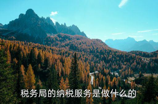 稅務(wù)全程服務(wù)的內(nèi)涵是什么，稅務(wù)是什么意思啊學(xué)什么內(nèi)容