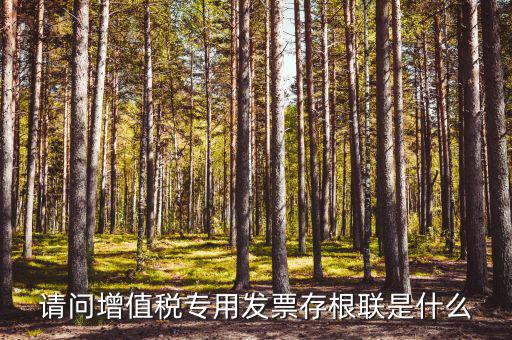發(fā)票存根聯(lián)是什么，發(fā)票存根聯(lián)是按發(fā)票購領本上領購的本數(shù)裝訂還是25張裝訂一冊