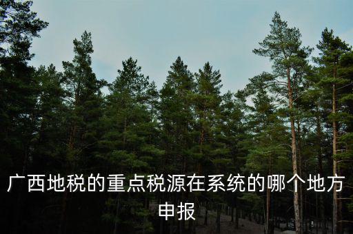 廣西地稅網(wǎng)是什么，進入廣西地稅網(wǎng)后為什么網(wǎng)上辦稅大廳會進不去
