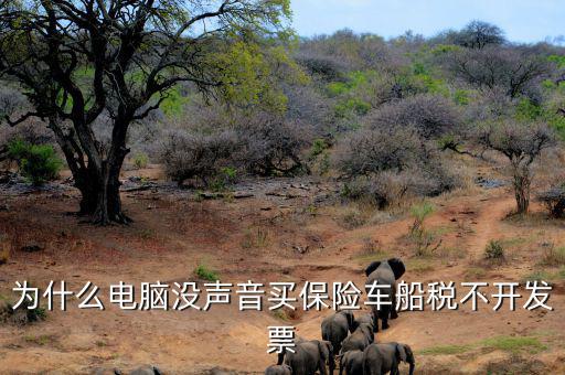 為什么電腦沒(méi)聲音買(mǎi)保險(xiǎn)車船稅不開(kāi)發(fā)票