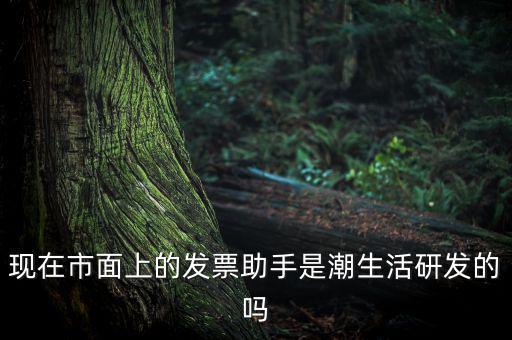 國稅發(fā)票助手是干什么的，現(xiàn)在市面上的發(fā)票助手是潮生活研發(fā)的嗎